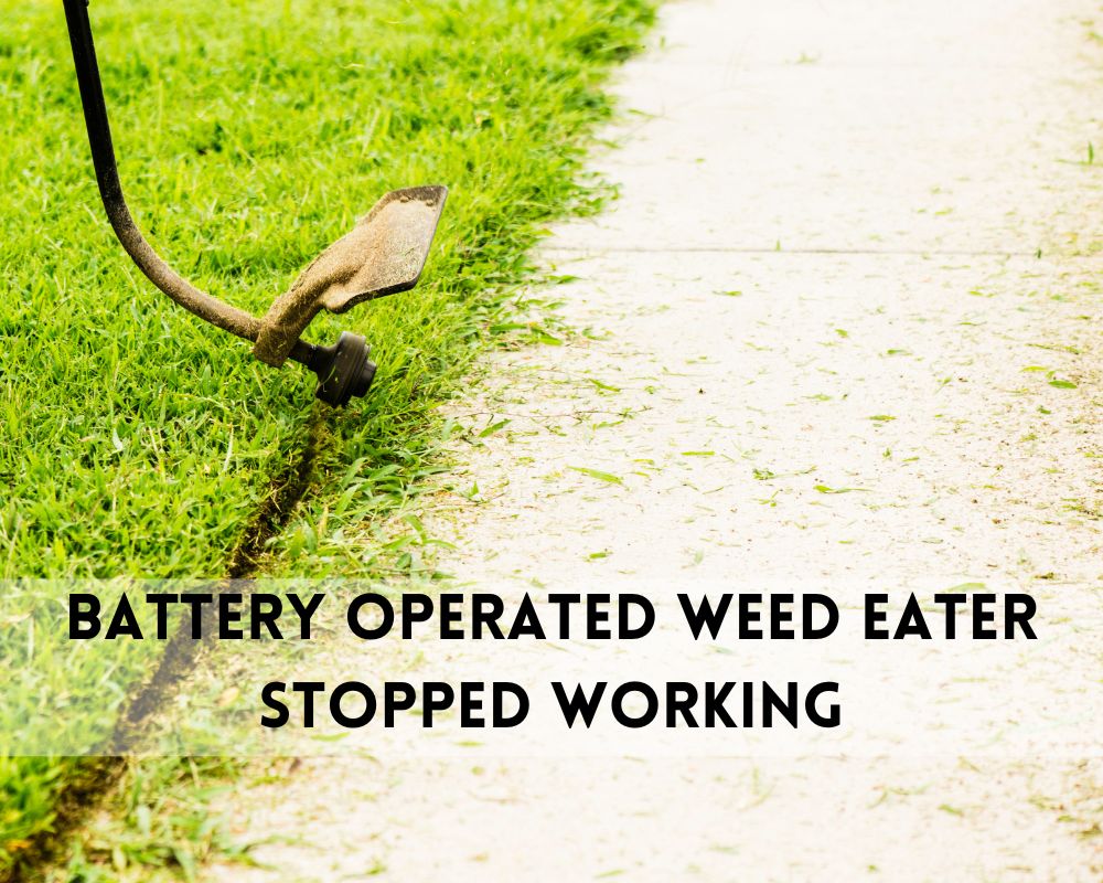 Battery operated weed online wacker