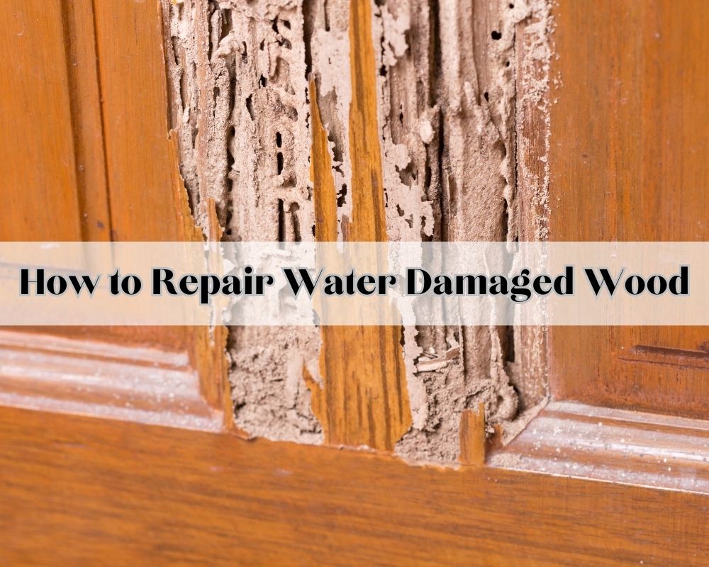 how-to-repair-water-damaged-wood-dave-burroughs